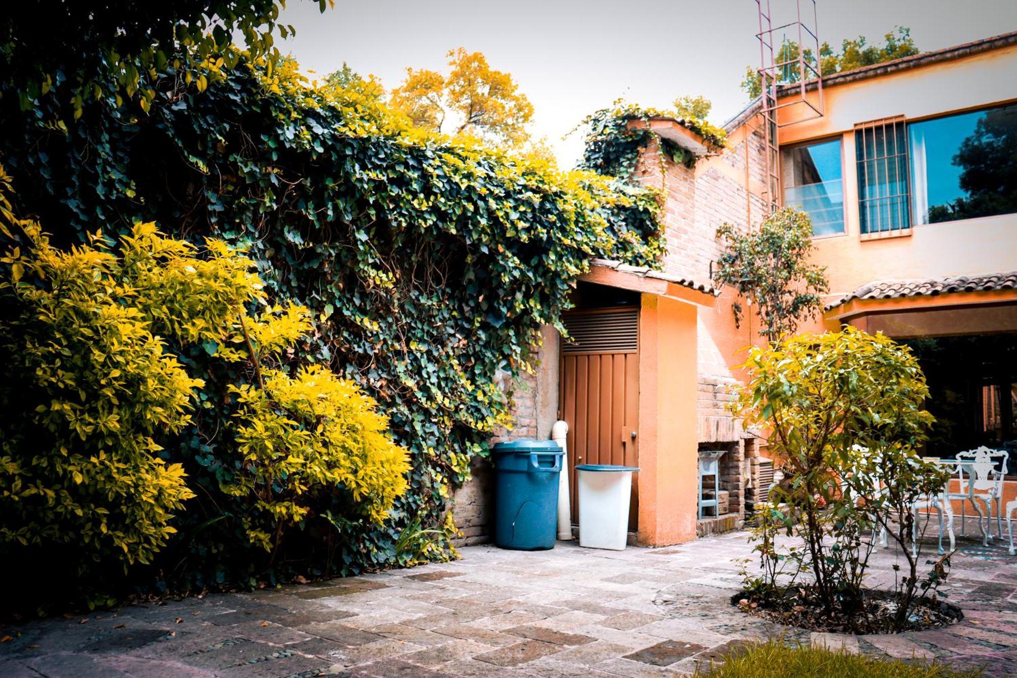 Suites Cuija Coyoacan Città del Messico Esterno foto