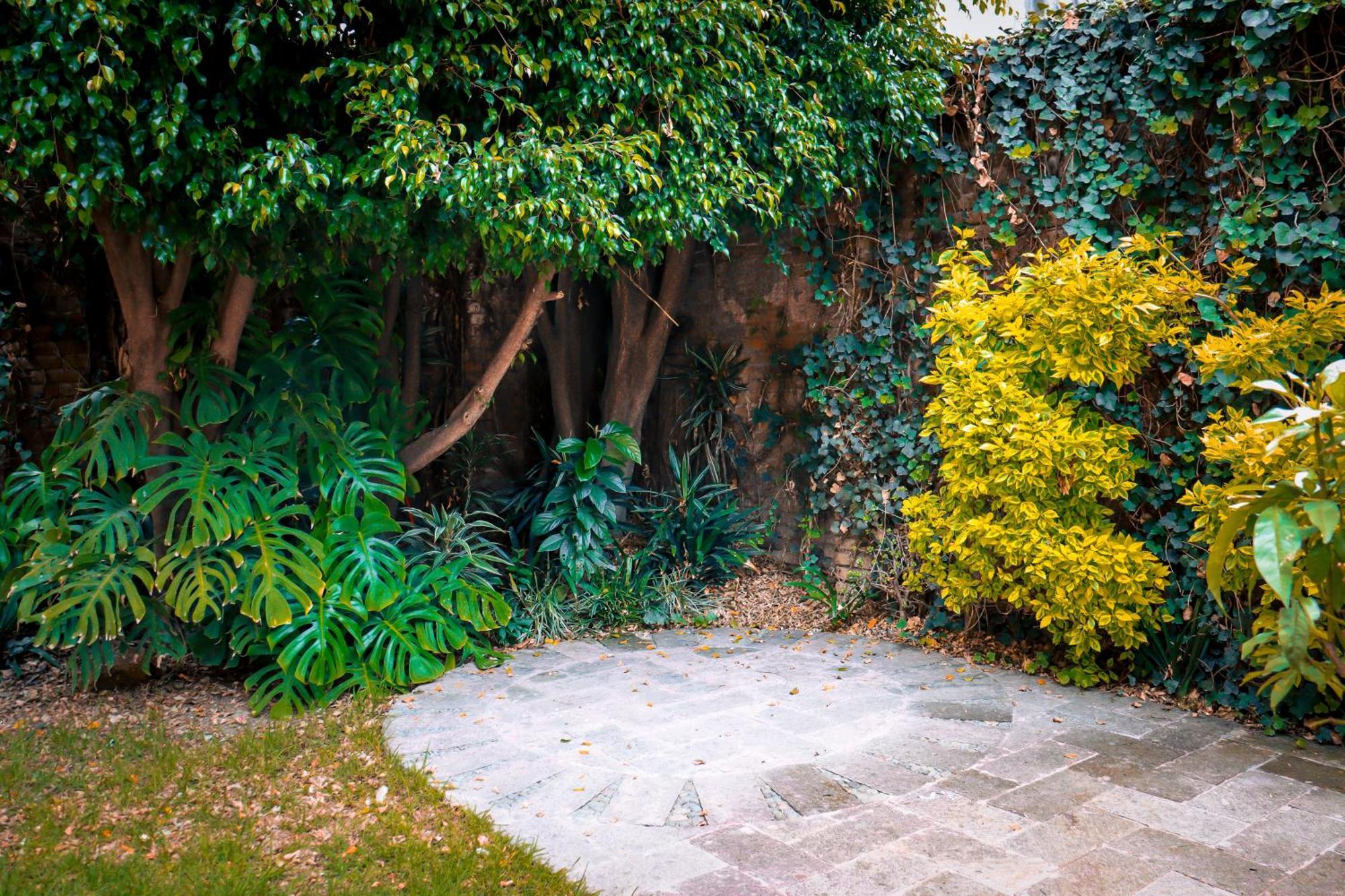 Suites Cuija Coyoacan Città del Messico Esterno foto